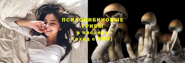 ГАЛЛЮЦИНОГЕННЫЕ ГРИБЫ Инсар