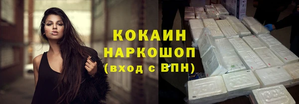 PSILOCYBIN Инта