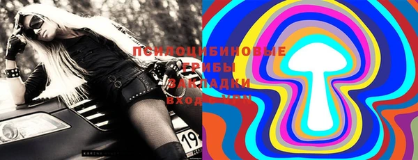 ГАЛЛЮЦИНОГЕННЫЕ ГРИБЫ Инсар
