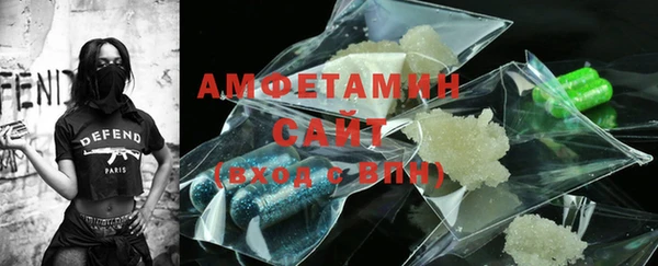 ГАЛЛЮЦИНОГЕННЫЕ ГРИБЫ Инсар