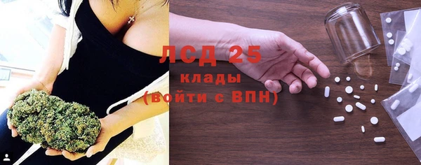 стафф Каменск-Шахтинский