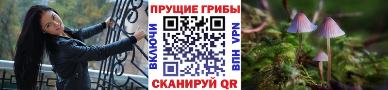 Галлюциногенные грибы мицелий  Купить  Воркута 